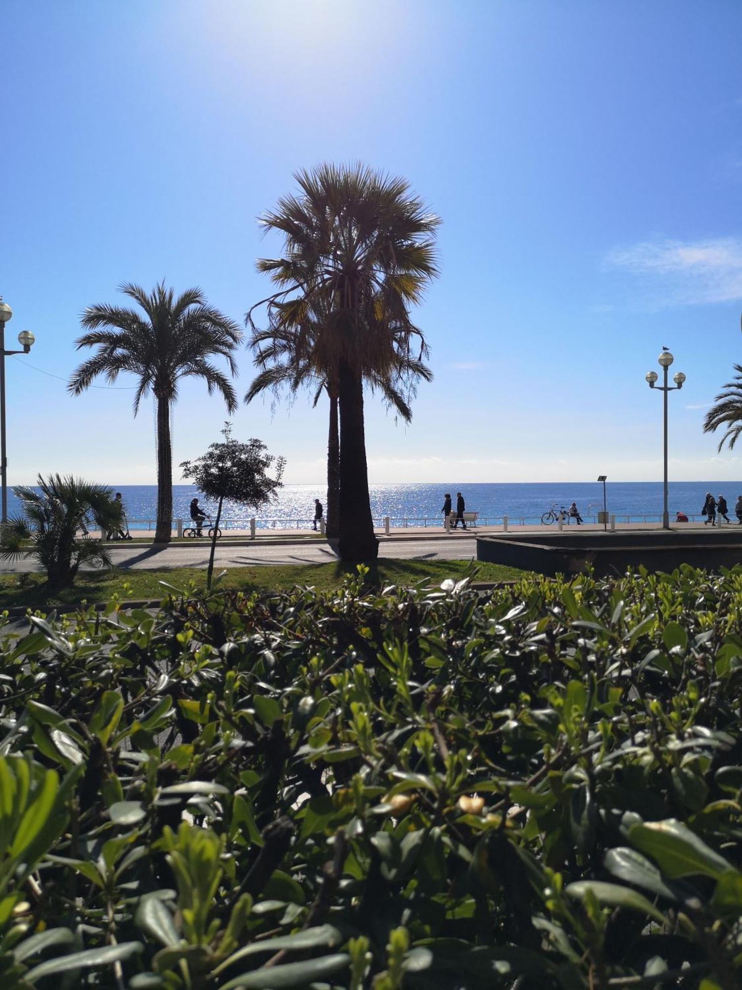 ニースGarden Atlantide Promenadeアパートメント エクステリア 写真