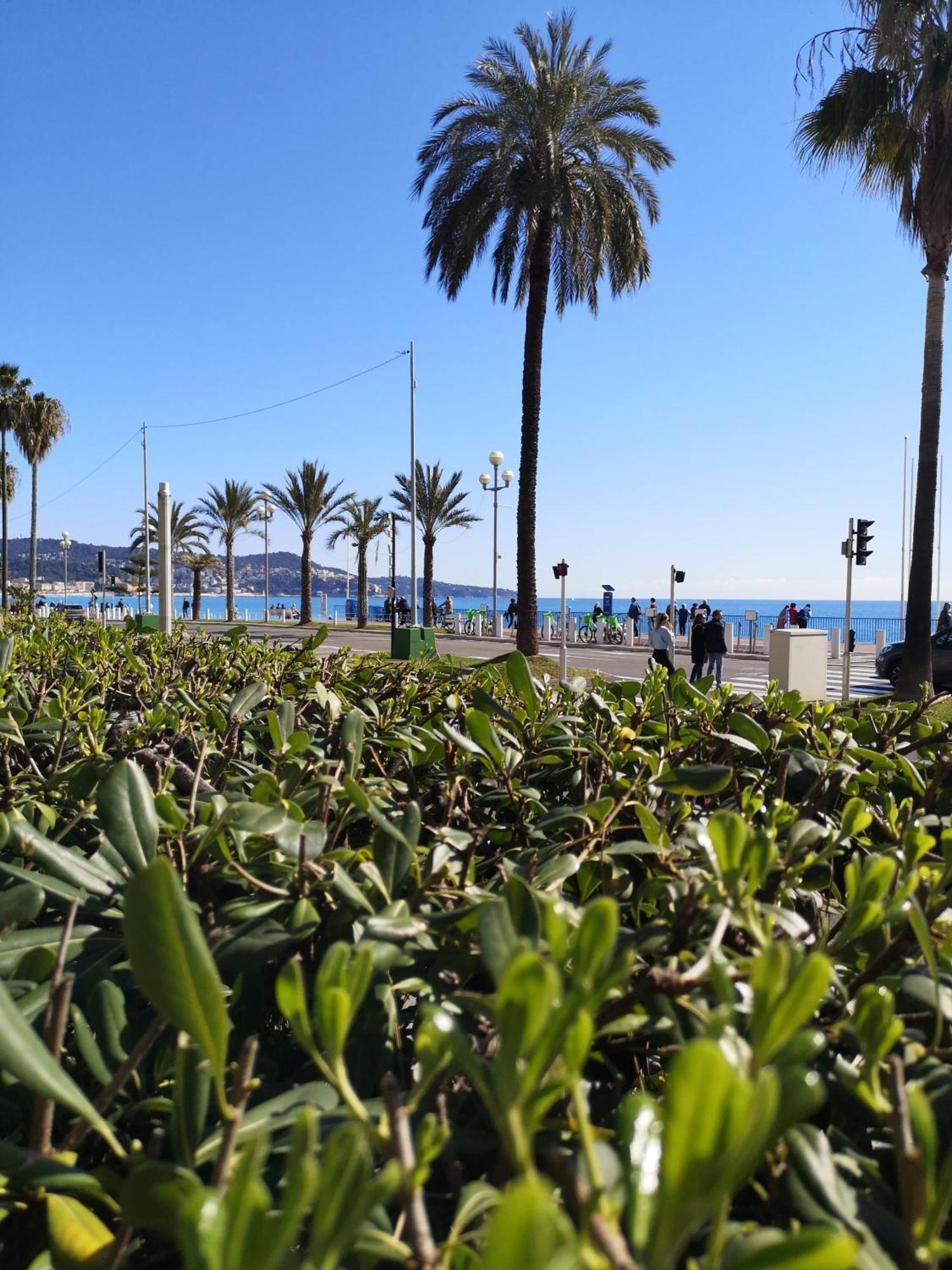 ニースGarden Atlantide Promenadeアパートメント エクステリア 写真