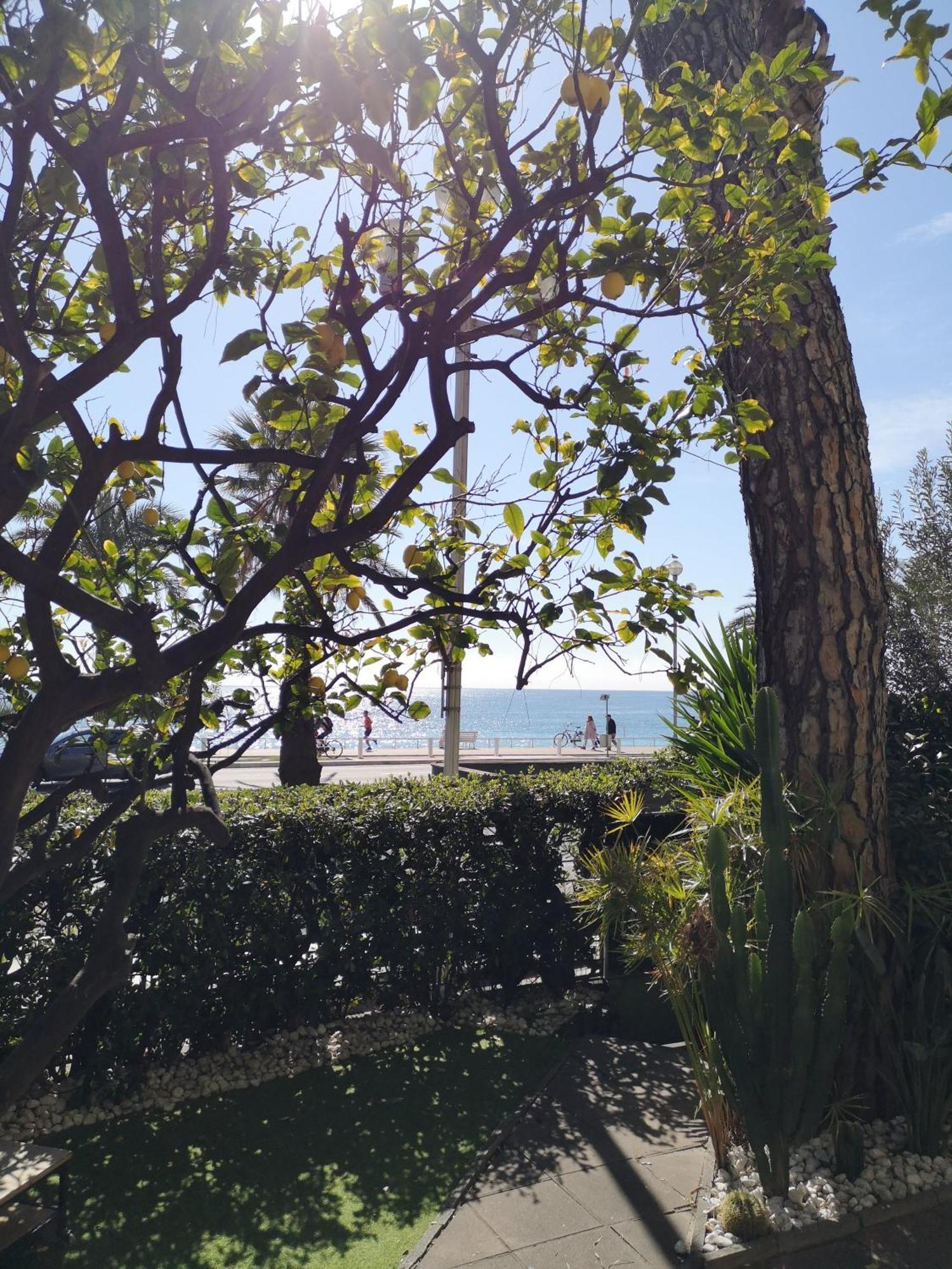 ニースGarden Atlantide Promenadeアパートメント エクステリア 写真