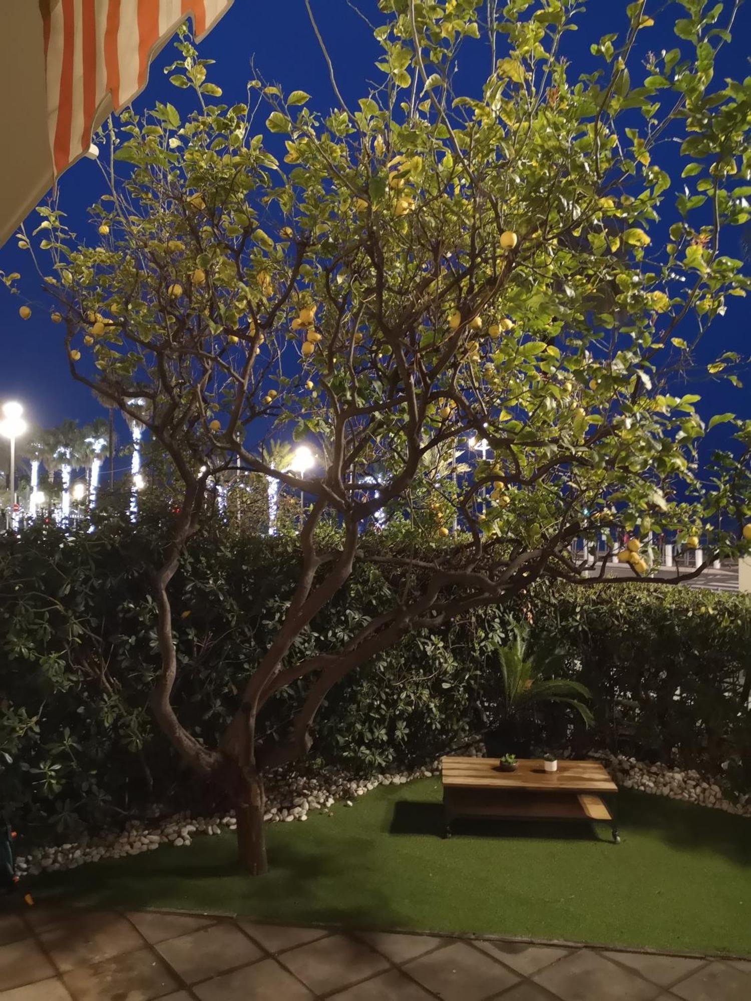 ニースGarden Atlantide Promenadeアパートメント エクステリア 写真