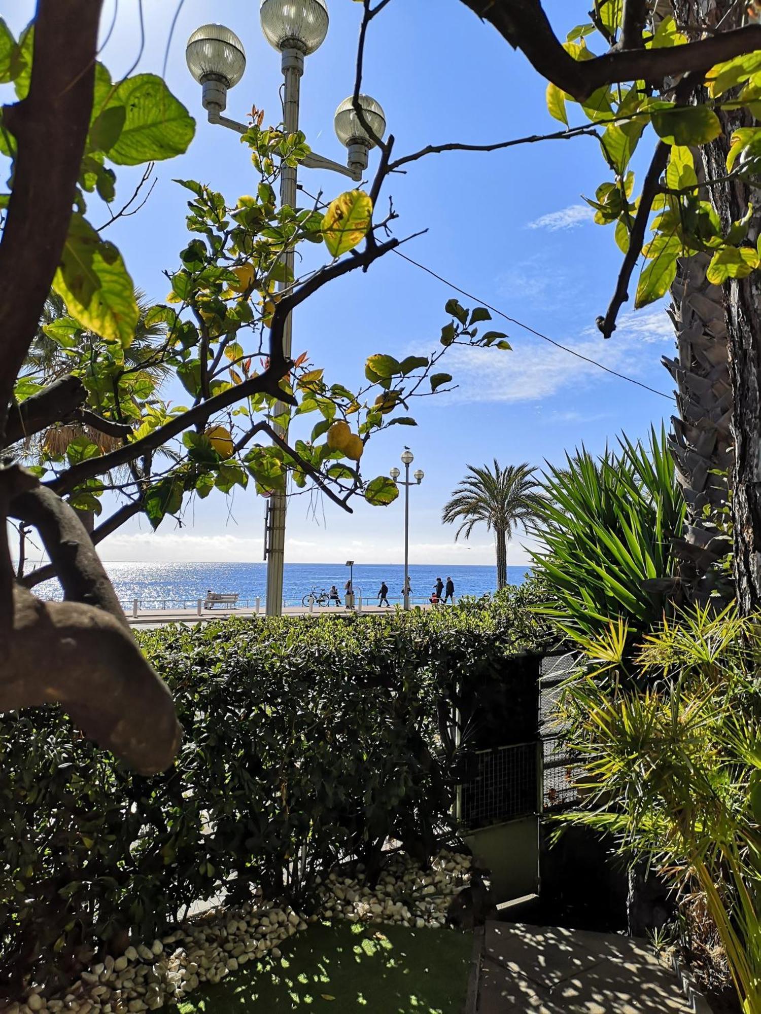 ニースGarden Atlantide Promenadeアパートメント エクステリア 写真