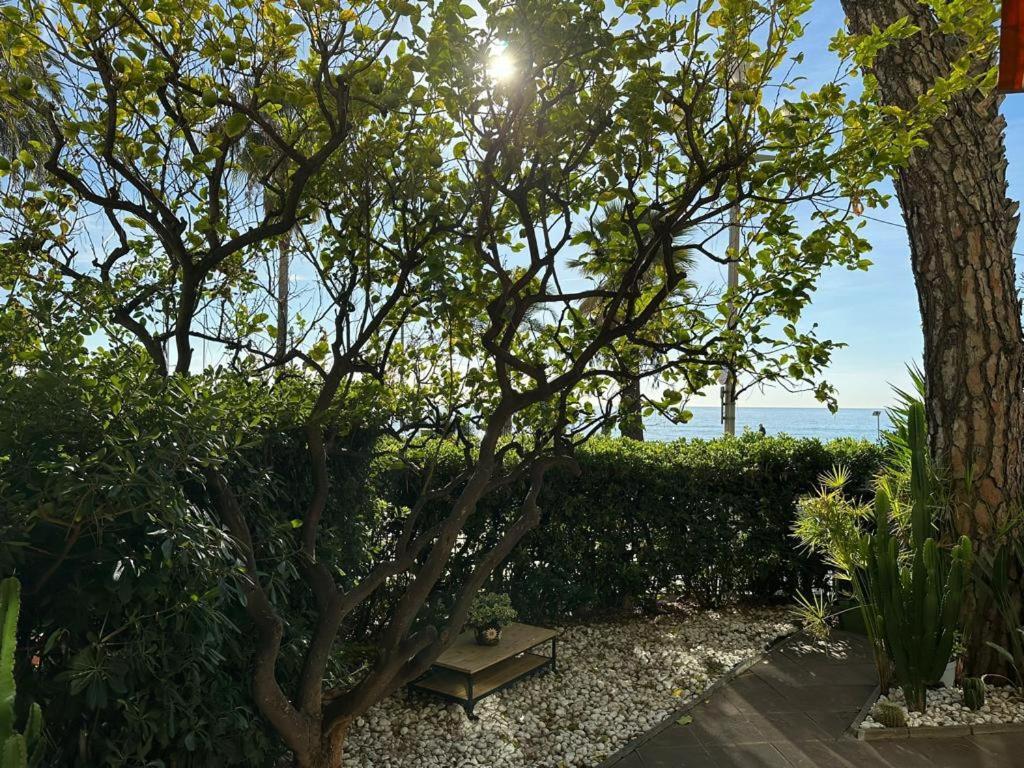 ニースGarden Atlantide Promenadeアパートメント エクステリア 写真
